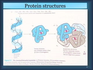 Protein structures
4
 
