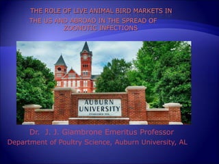Dr. J. J. Giambrone Emeritus Professor
Department of Poultry Science, Auburn University, AL
 