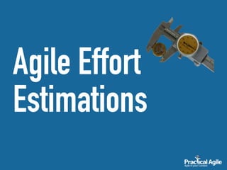 Agile Effort
Estimations
 