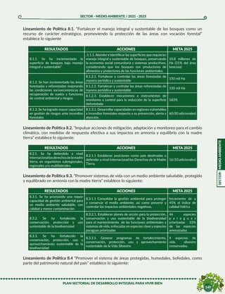 PSDI-2021-2025-4_M M AMBIENTE.pdf