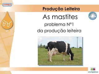 Produção Leiteira
As mastites
problema N°1
da produção leiteira
 