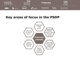 Key areas of focus in the PSDP
 