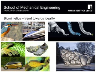 Biomimetics – trend towards ideality
School of Mechanical Engineering
FACULTY OF ENGINEERING
 