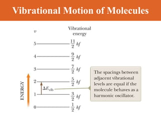 Vibrational Motion of Molecules
 