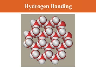 Hydrogen Bonding
 