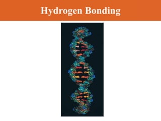 Hydrogen Bonding
 