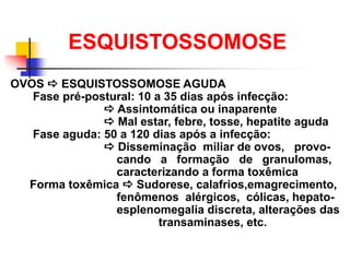 OVOS  ESQUISTOSSOMOSE AGUDA
Fase pré-postural: 10 a 35 dias após infecção:
 Assintomática ou inaparente
 Mal estar, febre, tosse, hepatite aguda
Fase aguda: 50 a 120 dias após a infecção:
 Disseminação miliar de ovos, provo-
cando a formação de granulomas,
caracterizando a forma toxêmica
Forma toxêmica  Sudorese, calafrios,emagrecimento,
fenômenos alérgicos, cólicas, hepato-
esplenomegalia discreta, alterações das
transaminases, etc.
ESQUISTOSSOMOSE
 