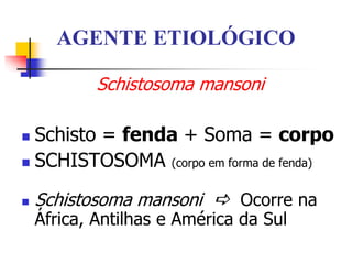 AGENTE ETIOLÓGICO
Schistosoma mansoni
 Schisto = fenda + Soma = corpo
 SCHISTOSOMA (corpo em forma de fenda)
 Schistosoma mansoni  Ocorre na
África, Antilhas e América da Sul
 