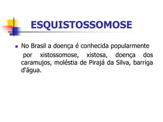  No Brasil a doença é conhecida popularmente
por xistossomose, xistosa, doença dos
caramujos, moléstia de Pirajá da Silva, barriga
d‘água.
ESQUISTOSSOMOSE
 