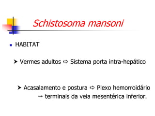 Schistosoma mansoni
 HABITAT
 Vermes adultos  Sistema porta intra-hepático
 Acasalamento e postura  Plexo hemorroidário
 terminais da veia mesentérica inferior.
 