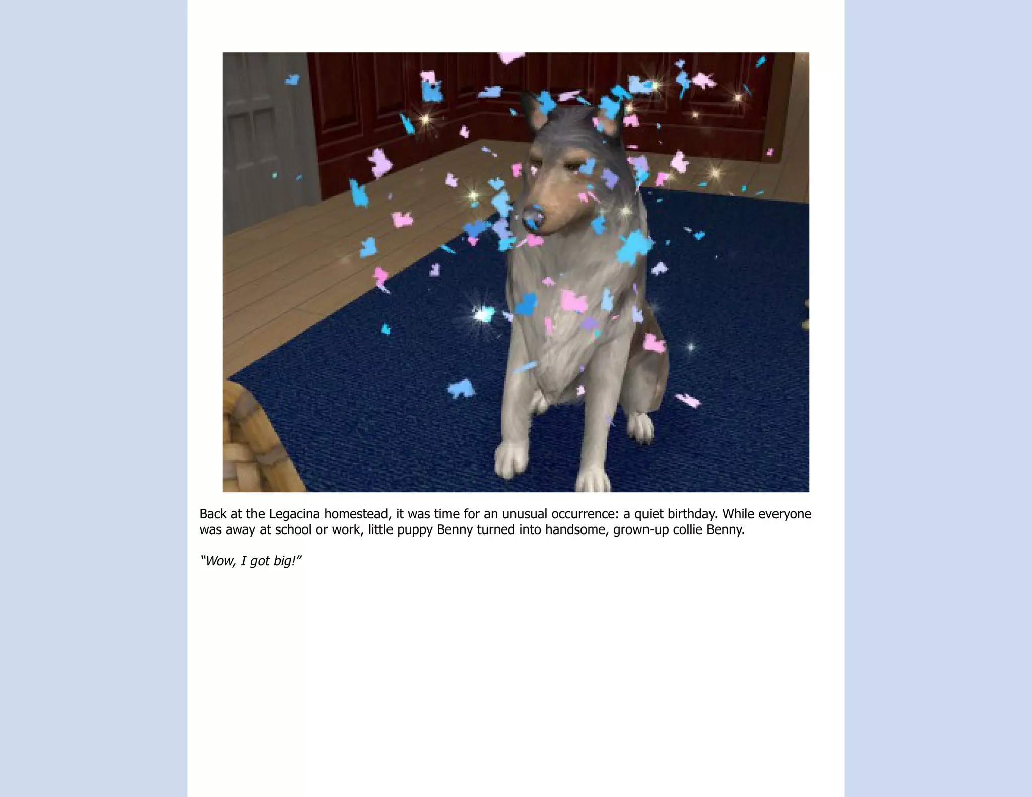 Back at the Legacina homestead, it was time for an unusual occurrence: a quiet birthday. While everyone
was away at school or work, little puppy Benny turned into handsome, grown-up collie Benny.

“Wow, I got big!”
 