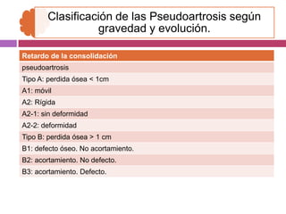 Clasificación de las pseudoartrosis según la
                    morfología del callo

Hipervasculares
A. Pata de elefante...