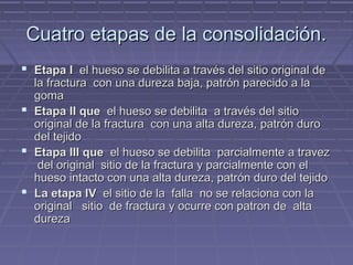 Cuatro eettaappaass ddee llaa ccoonnssoolliiddaacciióónn.. 
 EEttaappaa II eell hhuueessoo ssee ddeebbiilliittaa aa ttrraavvééss ddeell ssiittiioo oorriiggiinnaall ddee 
llaa ffrraaccttuurraa ccoonn uunnaa dduurreezzaa bbaajjaa,, ppaattrróónn ppaarreecciiddoo aa llaa 
ggoommaa 
 EEttaappaa IIII qquuee eell hhuueessoo ssee ddeebbiilliittaa aa ttrraavvééss ddeell ssiittiioo 
oorriiggiinnaall ddee llaa ffrraaccttuurraa ccoonn uunnaa aallttaa dduurreezzaa,, ppaattrróónn dduurroo 
ddeell tteejjiiddoo 
 EEttaappaa IIIIII qquuee eell hhuueessoo ssee ddeebbiilliittaa ppaarrcciiaallmmeennttee aa ttrraavveezz 
ddeell oorriiggiinnaall ssiittiioo ddee llaa ffrraaccttuurraa yy ppaarrcciiaallmmeennttee ccoonn eell 
hhuueessoo iinnttaaccttoo ccoonn uunnaa aallttaa dduurreezzaa,, ppaattrróónn dduurroo ddeell tteejjiiddoo 
 LLaa eettaappaa IIVV eell ssiittiioo ddee llaa ffaallllaa nnoo ssee rreellaacciioonnaa ccoonn llaa 
oorriiggiinnaall ssiittiioo ddee ffrraaccttuurraa yy ooccuurrrree ccoonn ppaattrroonn ddee aallttaa 
dduurreezzaa 
 