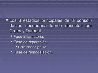  Los 3 estadios principales ddee llaa ccoonnssoollii-- 
ddaacciioonn sseeccuunnddaarriiaa ffuueerroonn ddeessccrriittooss ppoorr 
CCrruueess yy DDuummoonntt.. 
 FFaassee iinnffllaammaattoorriiaa.. 
 FFaassee ddee rreeppaarraacciióónn.. 
 CCaalllloo bbllaannddoo yy dduurroo.. 
 FFaassee ddee rreemmooddeellaacciióónn.. 
 