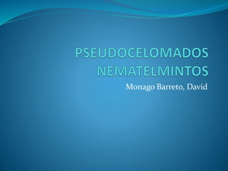 Monago Barreto, David 
 