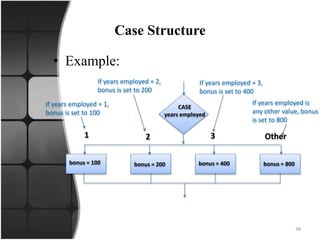 38
Case Structure
• Example:
CASE
years employed
1 2 3 Other
bonus = 100 bonus = 200 bonus = 400 bonus = 800
If years employed = 1,
bonus is set to 100
If years employed = 2,
bonus is set to 200
If years employed = 3,
bonus is set to 400
If years employed is
any other value, bonus
is set to 800
 