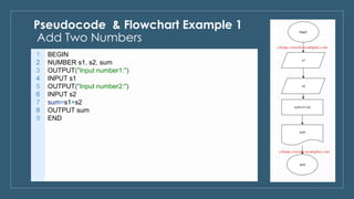 Pseudocode & flowchart examples | PDF | Programming Languages | Computing