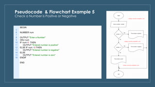 Pseudocode & flowchart examples | PPT