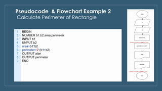 Pseudocode Algorithm Examples