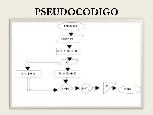 Resultado de imagen para pseudocodigo