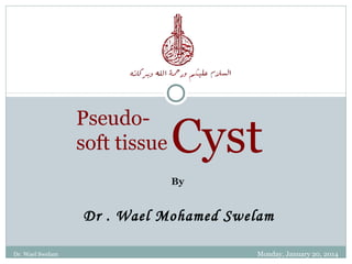 Pseudosoft tissue

Cyst
By

Dr . Wael Mohamed Swelam
Dr. Wael Swelam

Monday, January 20, 2014

 