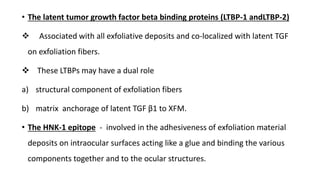 • The latent tumor growth factor beta binding proteins (LTBP-1 andLTBP-2)
 Associated with all exfoliative deposits and co-localized with latent TGF
on exfoliation fibers.
 These LTBPs may have a dual role
a) structural component of exfoliation fibers
b) matrix anchorage of latent TGF β1 to XFM.
• The HNK-1 epitope - involved in the adhesiveness of exfoliation material
deposits on intraocular surfaces acting like a glue and binding the various
components together and to the ocular structures.
 