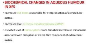 •BIOCHEMICAL CHANGES IN AQUEOUS HUMOUR
IN XFS
• -Increased TGF beta1-responsible for overproduction of extracellular
matrix.
• -Increased level of matrix metalloproteinases(MMP)
• -Elevated level of Homocysteine from disturbed methionine metabolism
associated with disruption of elastic fibre component of extracellular
matrix.
 