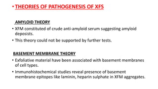 • THEORIES OF PATHOGENESIS OF XFS
AMYLOID THEORY
• XFM constituted of crude anti-amyloid serum suggesting amyloid
deposists.
• This theory could not be supported by further tests.
BASEMENT MEMBRANE THEORY
• Exfoliative material have been associated with basement membranes
of cell types.
• Immunohistochemical studies reveal presence of basement
membrane epitopes like laminin, heparin sulphate in XFM aggregates.
 