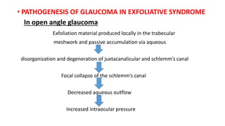 • PATHOGENESIS OF GLAUCOMA IN EXFOLIATIVE SYNDROME
In open angle glaucoma
Exfoliation material produced locally in the trabecular
meshwork and passive accumulation via aqueous
disorganization and degeneration of juxtacanalicular and schlemm’s canal
Focal collapse of the schlemm’s canal
Decreased aqueous outflow
Increased intraocular pressure
 