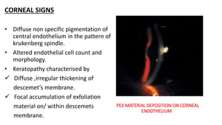 PEX MATERIAL DEPOSITION ON CORNEAL
ENDOTHELIUM
CORNEAL SIGNS
• Diffuse non specific pigmentation of
central endothelium in the pattern of
krukenberg spindle.
• Altered endothelial cell count and
morphology.
• Keratopathy characterised by
 Diffuse ,irregular thickening of
descemet’s membrane.
 Focal accumulation of exfoliation
material on/ within descemets
membrane.
 