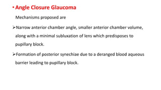 • Angle Closure Glaucoma
Mechanisms proposed are
Narrow anterior chamber angle, smaller anterior chamber volume,
along with a minimal subluxation of lens which predisposes to
pupillary block.
Formation of posterior synechiae due to a deranged blood aqueous
barrier leading to pupillary block.
 