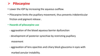  Pilocarpine
• Lower the IOP by increasing the aqueous outflow.
• Pilocarpine limits the pupillary movement, thus prevents iridolenticular
friction and pigment release .
• Hazards of pilocarpine use
- aggravation of the blood aqueous barrier dysfunction
- development of posterior synechiae by restricting pupillary
movement
- aggravation of lens opacities and ciliary block glaucoma in eyes with
marked zonular instability.
 
