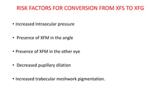 RISK FACTORS FOR CONVERSION FROM XFS TO XFG
• Increased Intraocular pressure
• Presence of XFM in the angle
• Presence of XFM in the other eye
• Decreased pupillary dilation
• Increased trabecular meshwork pigmentation.
 