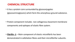 CHEMICAL STRUCTURE
• It has a protein core surrounded by glycoconjugates
(glycosaminoglycans) which form the amorphous ground substance.
• Protein component includes non collagenous basement membrane
components and epitopes of elastic fibre system.
• Fibrillin -1 – Main component of elastic microfibrils has been
demonstrated in exfoliation fibres and their microfibrillar subunits.
 