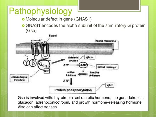 Pseudohypoparathyroidism