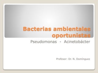 Bacterias ambientales
oportunistas
Pseudomonas - Acinetobácter
Profesor: Dr. N. Domínguez
 