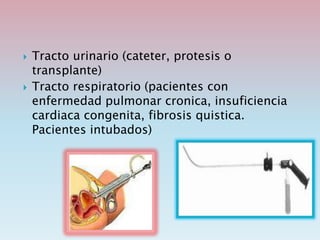  Tracto urinario (cateter, protesis o
transplante)
 Tracto respiratorio (pacientes con
enfermedad pulmonar cronica, insuficiencia
cardiaca congenita, fibrosis quistica.
Pacientes intubados)
 