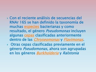  Con el reciente análisis de secuencias del
RNAr 16S se han definido la taxonomía de
muchas especies bacterianas y como
resultado, el género Pseudomonas incluyen
algunas cepas clasificadas anteriormente
dentro de las Chryseomonas y Flavimonas.
 Otras cepas clasificadas previamente en el
género Pseudomonas, ahora son agrupadas
en los géneros Burkholderia y Ralstonia
 