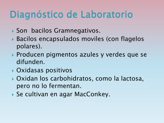  Son bacilos Gramnegativos.
 Bacilos encapsulados moviles (con flagelos
polares).
 Producen pigmentos azules y verdes que se
difunden.
 Oxidasas positivos
 Oxidan los carbohidratos, como la lactosa,
pero no lo fermentan.
 Se cultivan en agar MacConkey.
 