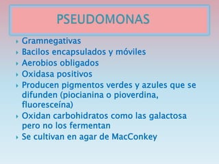  Gramnegativas
 Bacilos encapsulados y móviles
 Aerobios obligados
 Oxidasa positivos
 Producen pigmentos verdes y azules que se
difunden (piocianina o pioverdina,
fluoresceína)
 Oxidan carbohidratos como las galactosa
pero no los fermentan
 Se cultivan en agar de MacConkey
 