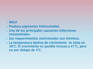  Móvil
 Produce pigmentos hidrosolubles
 Uno de los principales causantes infecciones
nosocomiales.
 Sus requerimientos nutricionales son mínimos.
 La temperatura óptima de crecimiento se sitúa en
36°C. El crecimiento es posible incluso a 41°C, pero
no por debajo de 4°C.
 