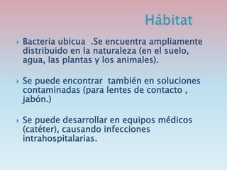  Bacteria ubicua .Se encuentra ampliamente
distribuido en la naturaleza (en el suelo,
agua, las plantas y los animales).
 Se puede encontrar también en soluciones
contaminadas (para lentes de contacto ,
jabón.)
 Se puede desarrollar en equipos médicos
(catéter), causando infecciones
intrahospitalarias.
 
