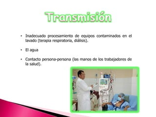 • Inadecuado procesamiento de equipos contaminados en el 
lavado (terapia respiratoria, diálisis). 
• El agua 
• Contacto persona-persona (las manos de los trabajadores de 
la salud). 
 