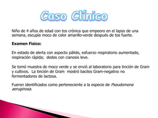 Niño de 4 años de edad con tos crónica que empeoro en el lapso de una 
semana, escupía moco de color amarillo-verde después de tos fuerte. 
Examen Fisico: 
En estado de alerta con aspecto pálido, esfuerzo respiratorio aumentado, 
respiración rápida; dedos con cianosis leve. 
Se tomó muestra de moco verde y se envió al laboratorio para tinción de Gram 
y cultivos. La tinción de Gram mostró bacilos Gram-negativo no 
fermentadores de lactosa. 
Fueron identificados como perteneciente a la especie de Pseudomona 
aeruginosa. 
