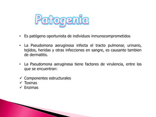 • Es patógeno oportunista de individuos inmunocomprometidos 
• La Pseudomona aeruginosa infecta el tracto pulmonar, urinario, 
tejidos, heridas y otras infecciones en sangre, es causante tambien 
de dermatitis. 
• La Pseudomona aeruginosa tiene factores de virulencia, entre los 
que se encuentran: 
 Componentes estructurales 
 Toxinas 
 Enzimas 
 