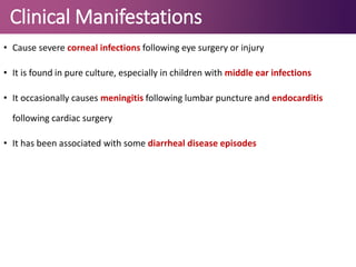 Clinical Manifestations
• Cause severe corneal infections following eye surgery or injury
• It is found in pure culture, especially in children with middle ear infections
• It occasionally causes meningitis following lumbar puncture and endocarditis
following cardiac surgery
• It has been associated with some diarrheal disease episodes
 