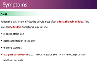 Symptoms
Skin
When this bacterium infects the skin, it most often affects the hair follicles. This
is called folliculitis. Symptoms may include:
• redness of the skin
• abscess formation in the skin
• draining wounds
• Ecthyma Gangrenosum: Cutaneous infection seen in immunocompromised
and burn patients
 