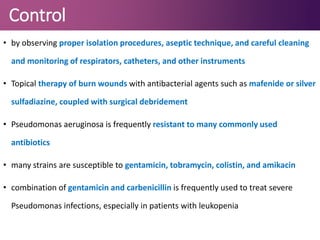Control
• by observing proper isolation procedures, aseptic technique, and careful cleaning
and monitoring of respirators, catheters, and other instruments
• Topical therapy of burn wounds with antibacterial agents such as mafenide or silver
sulfadiazine, coupled with surgical debridement
• Pseudomonas aeruginosa is frequently resistant to many commonly used
antibiotics
• many strains are susceptible to gentamicin, tobramycin, colistin, and amikacin
• combination of gentamicin and carbenicillin is frequently used to treat severe
Pseudomonas infections, especially in patients with leukopenia
 