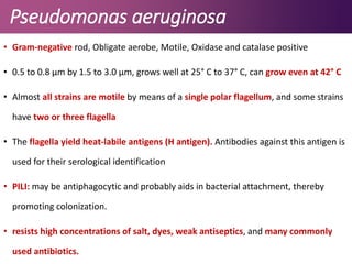 Pseudomonas aeruginosa
• Gram-negative rod, Obligate aerobe, Motile, Oxidase and catalase positive
• 0.5 to 0.8 μm by 1.5 to 3.0 μm, grows well at 25° C to 37° C, can grow even at 42° C
• Almost all strains are motile by means of a single polar flagellum, and some strains
have two or three flagella
• The flagella yield heat-labile antigens (H antigen). Antibodies against this antigen is
used for their serological identification
• PILI: may be antiphagocytic and probably aids in bacterial attachment, thereby
promoting colonization.
• resists high concentrations of salt, dyes, weak antiseptics, and many commonly
used antibiotics.
 