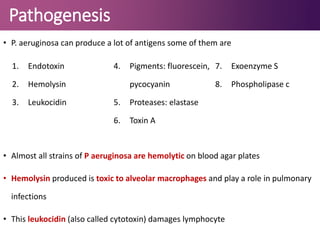 Pathogenesis
• P. aeruginosa can produce a lot of antigens some of them are
• Almost all strains of P aeruginosa are hemolytic on blood agar plates
• Hemolysin produced is toxic to alveolar macrophages and play a role in pulmonary
infections
• This leukocidin (also called cytotoxin) damages lymphocyte
1. Endotoxin
2. Hemolysin
3. Leukocidin
4. Pigments: fluorescein,
pycocyanin
5. Proteases: elastase
6. Toxin A
7. Exoenzyme S
8. Phospholipase c
 